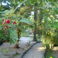 Cocobana Beach Resort 