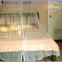 Blue Water Malapascua Beach Resort 