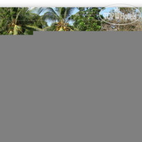 Loves Beach and Dive Resort 