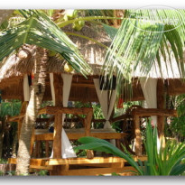 Loves Beach and Dive Resort 