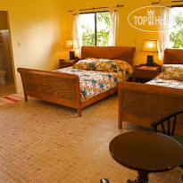 Turtle Bay Dive Resort