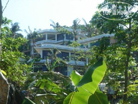 Argonauta Boracay