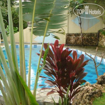 Argonauta Boracay
