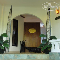 Argonauta Boracay