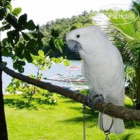 Paradise Bay - Beach & Watersport Resort