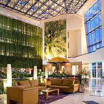 Oryx Grand Jebel Hafeet  