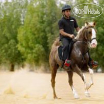 Al Bada Hotel & Resort 