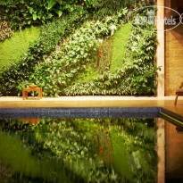 Sofitel Dubai The Palm Resort & Spa 