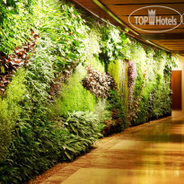 Sofitel Dubai The Palm Resort & Spa 