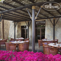 Sofitel Dubai The Palm Resort & Spa 