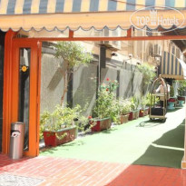 Dream Land Hotel