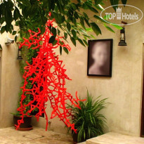 XVA Art Hotel