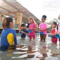 The Royal Atlantis Resort & Residences 