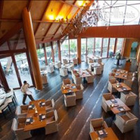 JA Palm Tree Court White Orkhid Restaurant