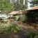 Golan Rooms Kibbutz Country Lodging 