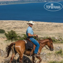 Vered HaGalil Верховая езда