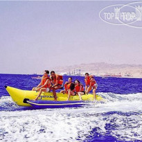 Vert Eilat