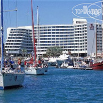 Vert Eilat