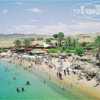 Vert Eilat