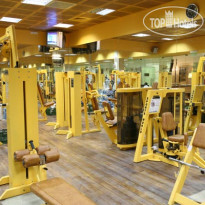 Brown Red Sea - Central Park 