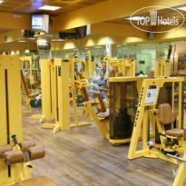 Brown Red Sea - Central Park 