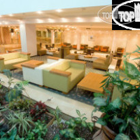 Brown Lighthouse Eilat 