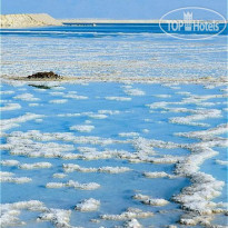 Vert Dead Sea Hotel