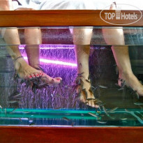 Sheraton Tel Aviv Hotel and Towers FISH педикюр в «Cielo Spa»