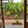 Photos Go Green Spice & Eco Resort