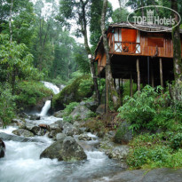 Blue Ginger Wayanad Resorts 