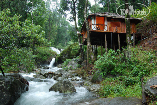 Hotelier's photos Blue Ginger Wayanad Resorts 3*