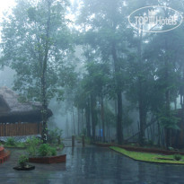 Blue Ginger Wayanad Resorts 