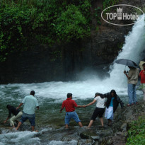 Blue Ginger Wayanad Resorts 
