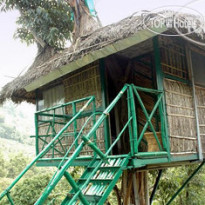 Eco Exotica