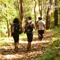 Green Leaf Home stay