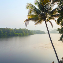 Reminiscence Ayurveda Yoga Retreat