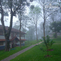Green Woods Resort