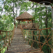 Green Woods Resort