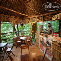 Green Woods Resort