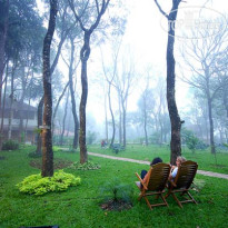 Green Woods Resort