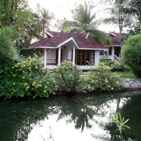 Golden Waters