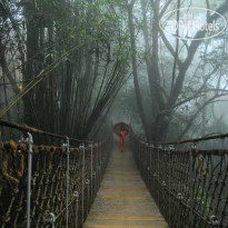 Vythiri Resort