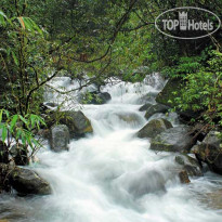 Vythiri Resort