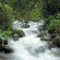 Vythiri Resort 