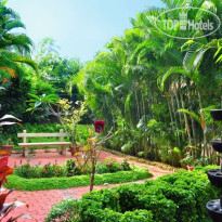 Chakra Ayurvedic Resort 