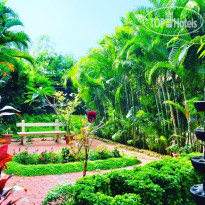 Chakra Ayurvedic Resort 