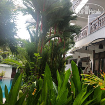 Chakra Ayurvedic Resort 