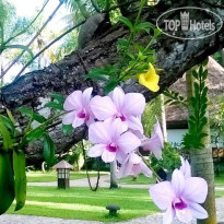 Carnoustie Ayurveda & Wellness Resort