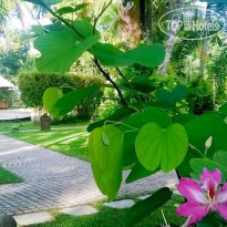 Carnoustie Ayurveda & Wellness Resort