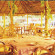 Coir Village Lake Resort 